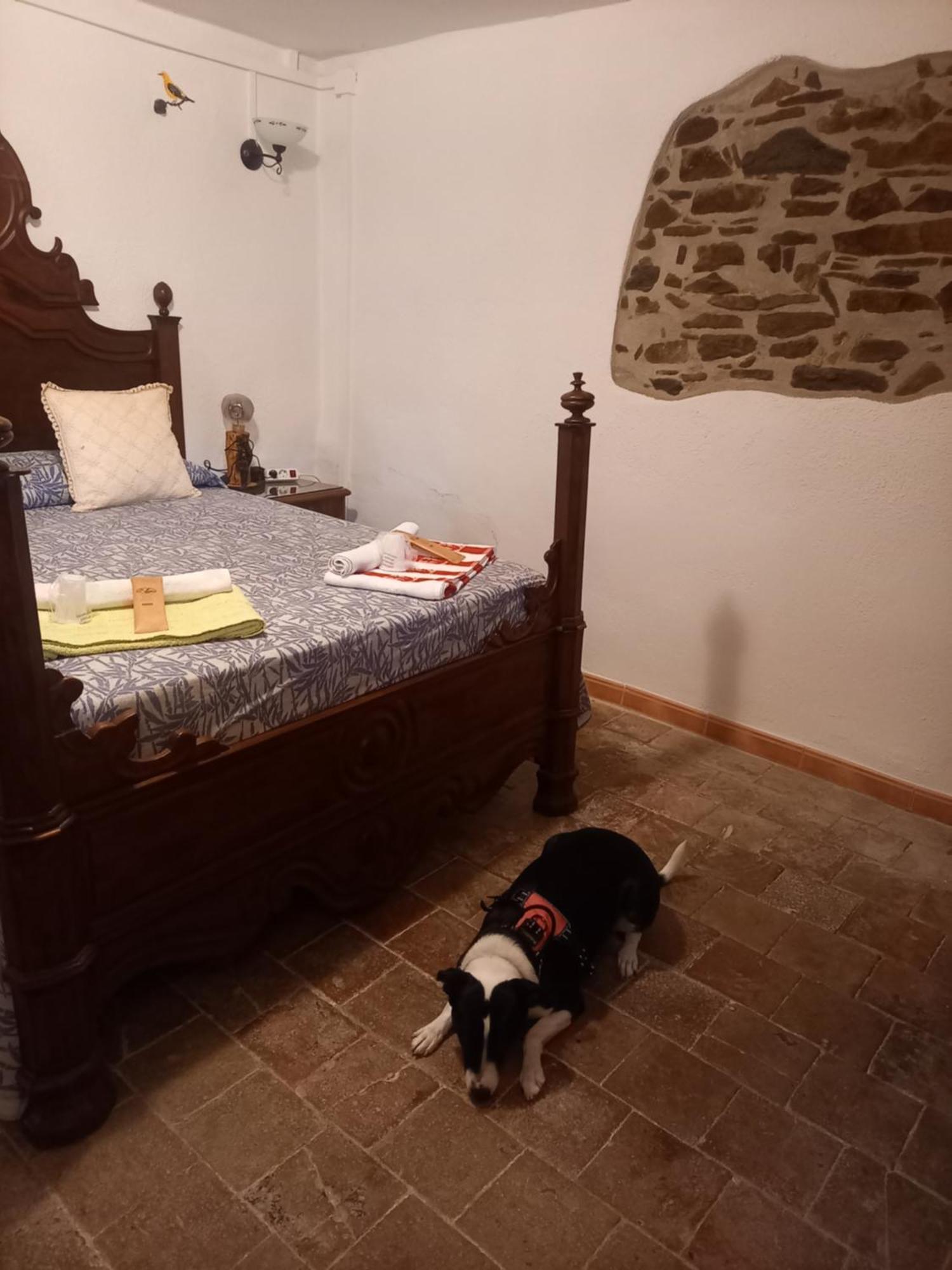 Hostal Rural Mas Blanc San Martín de Centellas Exteriér fotografie
