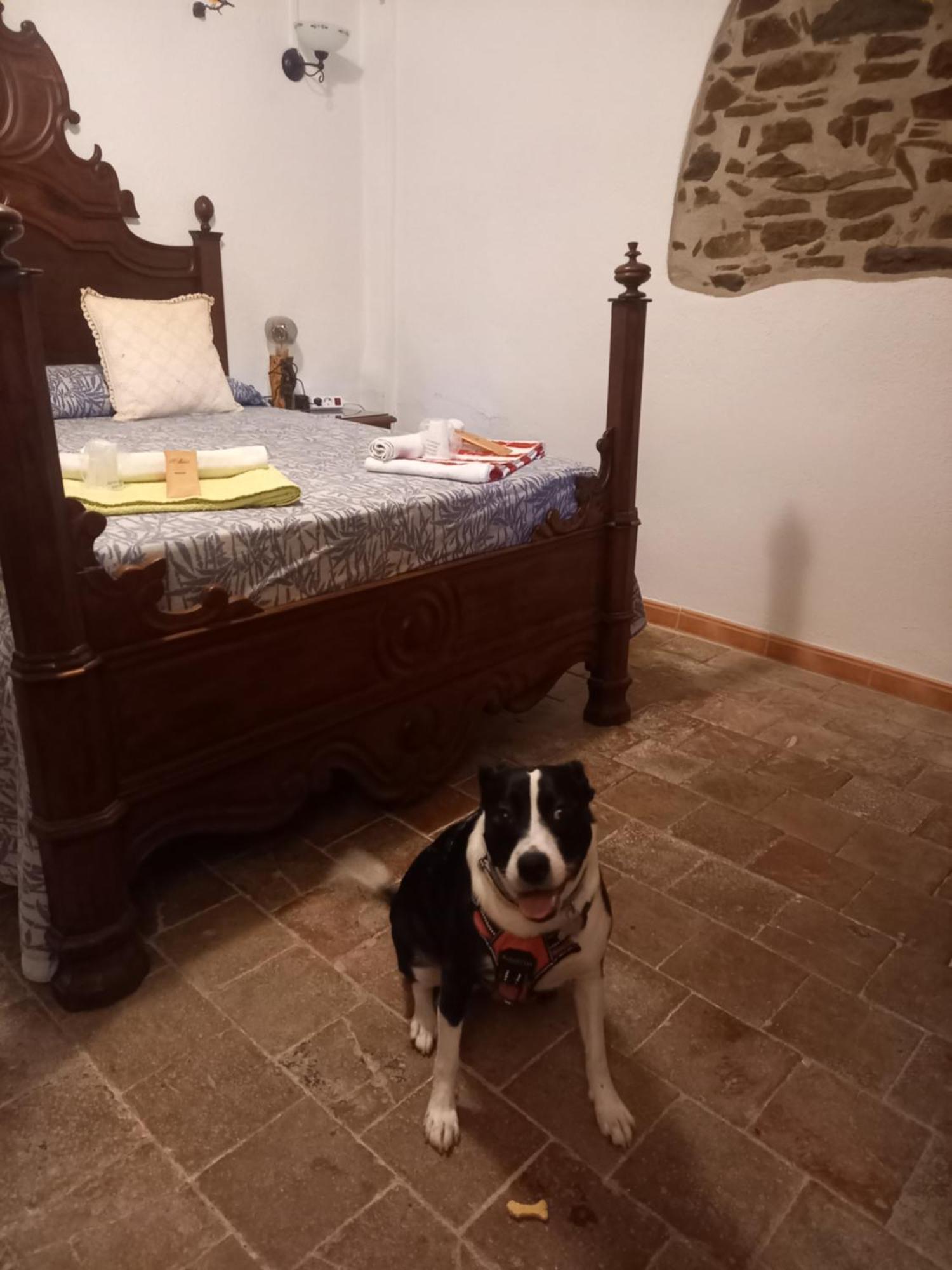 Hostal Rural Mas Blanc San Martín de Centellas Exteriér fotografie